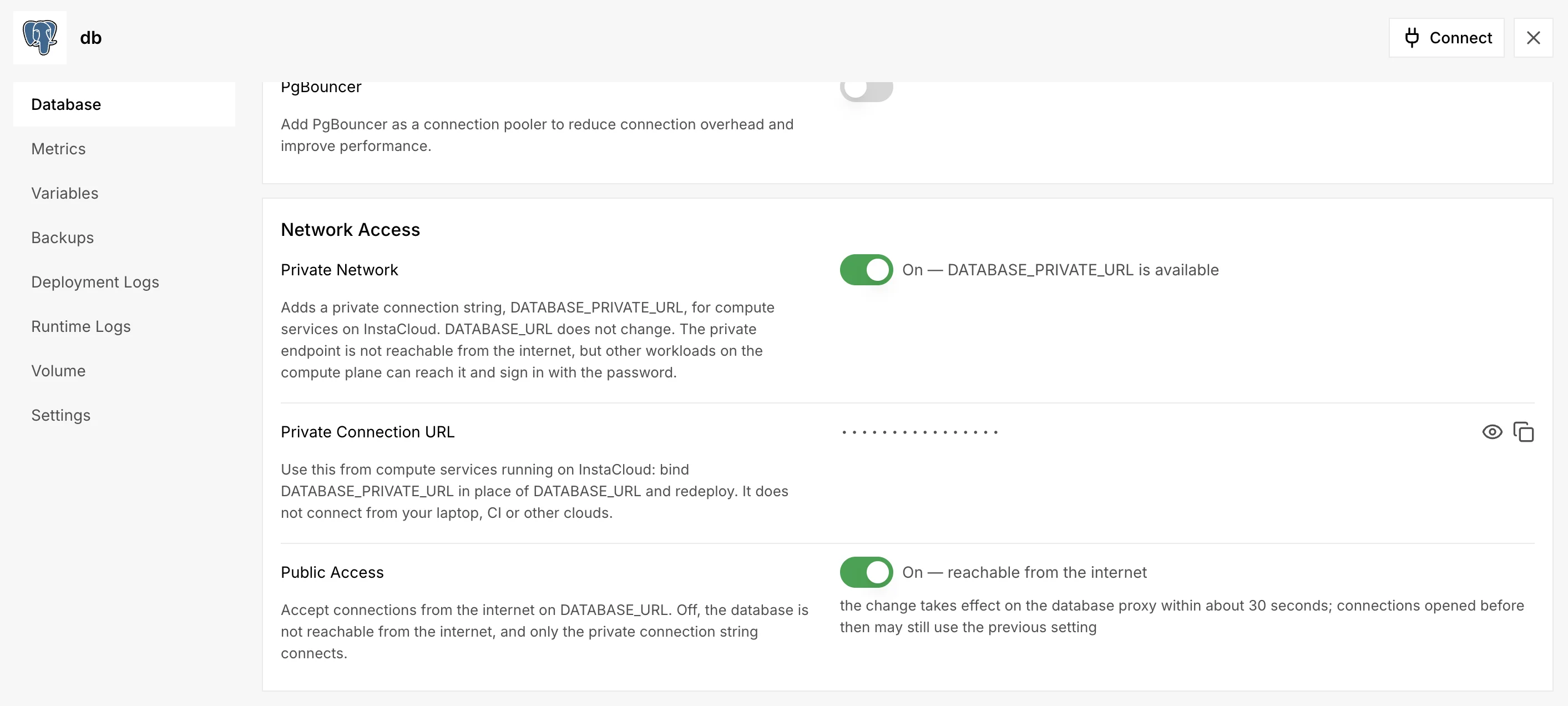 The Network Access card in a Postgres service's Database tab: the Private Network switch on with DATABASE_PRIVATE_URL available, a masked Private Connection URL, and the Public Access switch on