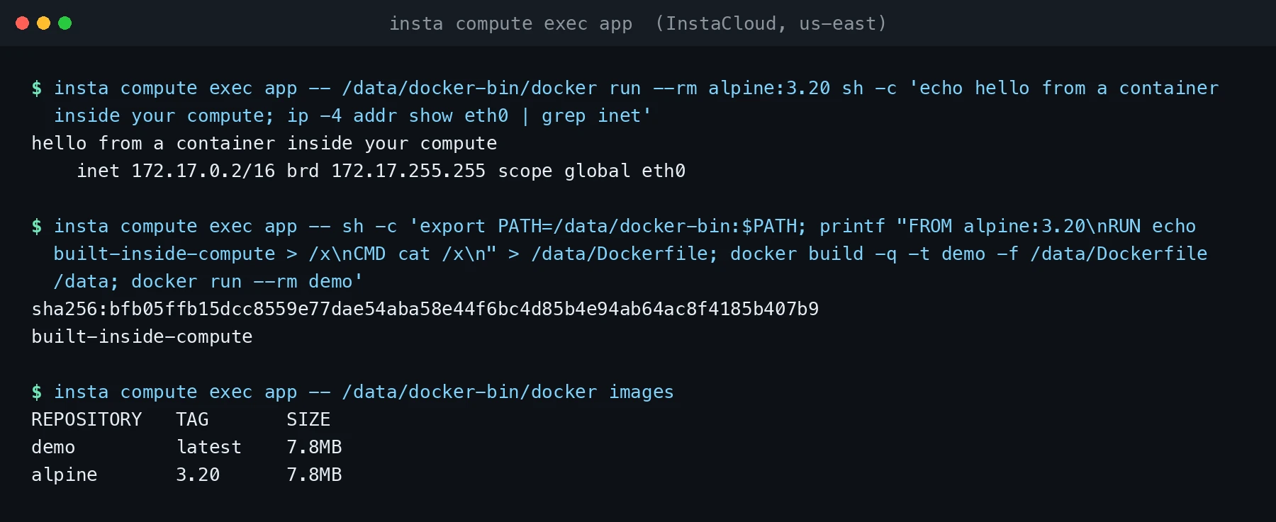 Docker running inside an InstaCloud compute service