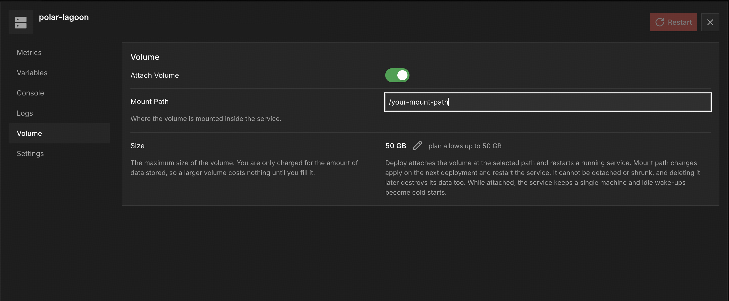 The Volume tab of a compute service, with a Mount Path field set to /your-mount-path above a 50 GB volume