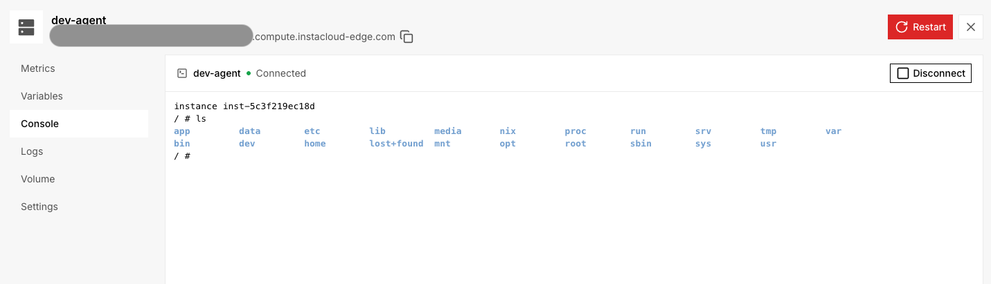 The Console tab on a compute service, connected to instance inst-5c3f219ec18d and listing the root filesystem